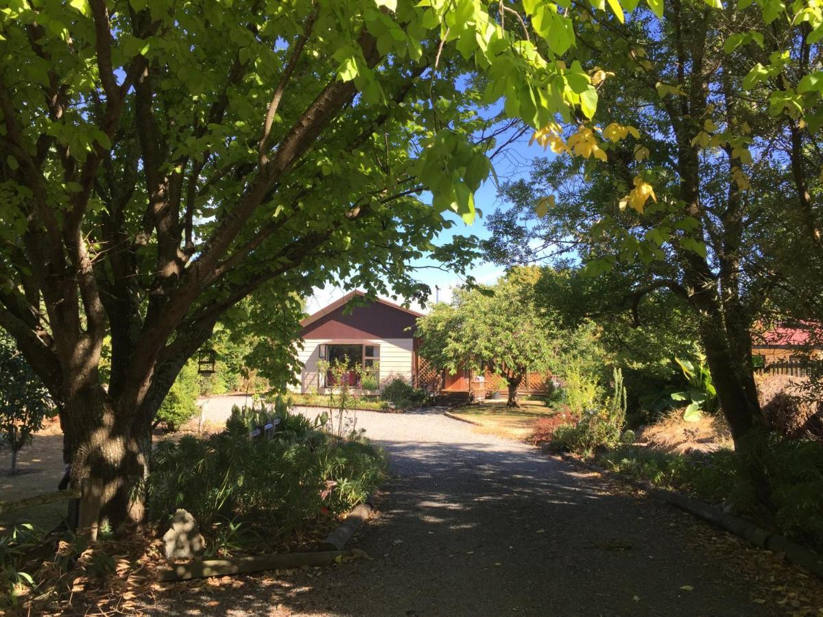 Chris'S Cabin Грейтаун Екстериор снимка